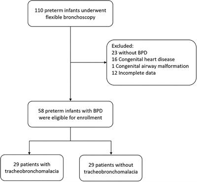 Risk Factors for Tracheobronchomalacia in Preterm Infants With Bronchopulmonary Dysplasia